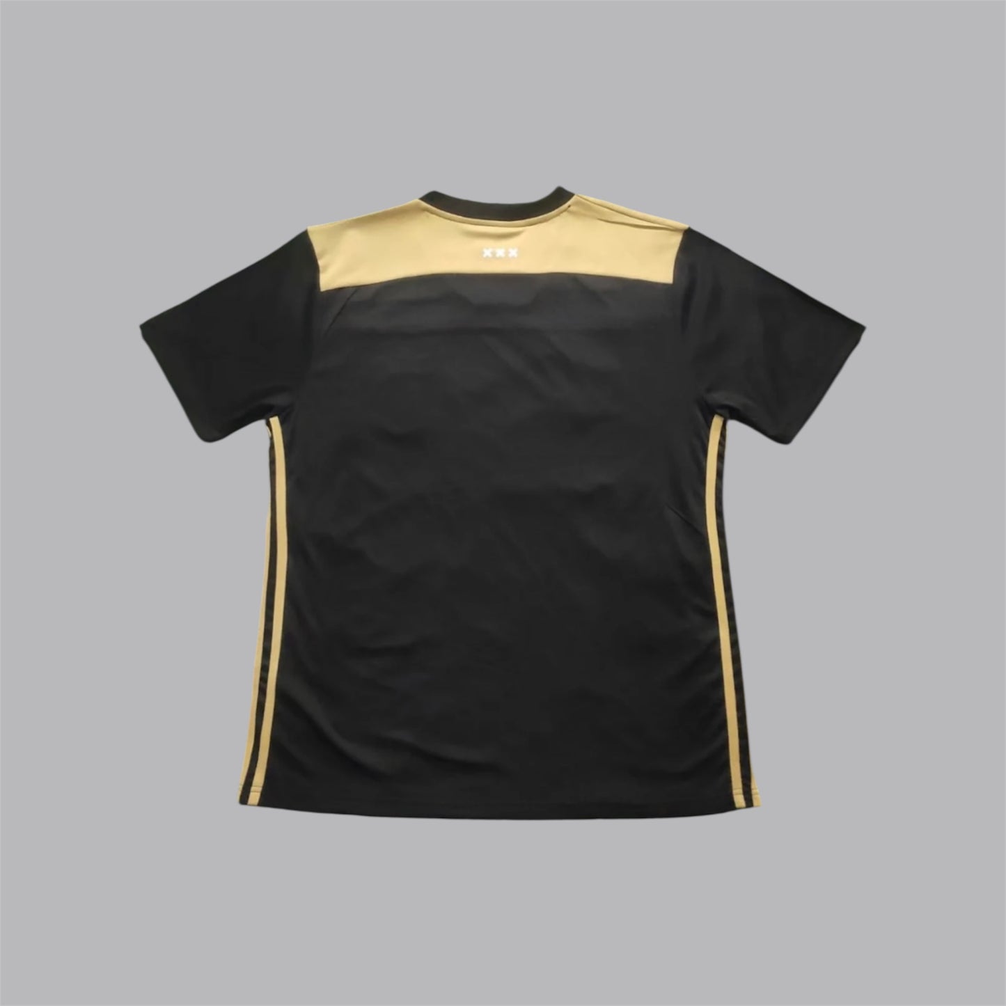 Ajax 18/19 away kit